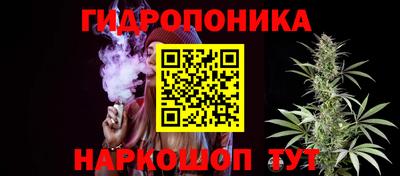 спиды Ливны