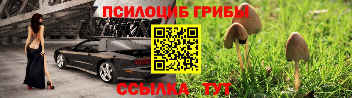 Галлюциногенные грибы прущие грибы  Вход с VPN  Усть-Джегута 